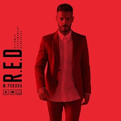 CD R.E.D RYTHMES EXTREMEMENT DANGEREUX