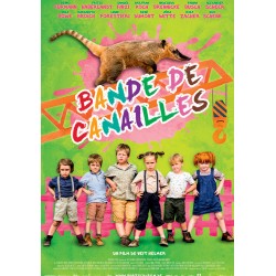 DVD BANDE DE CANAILLE