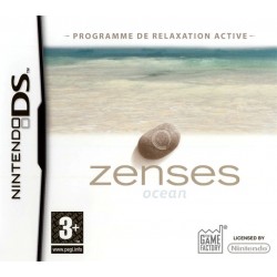 JEU DS ZENSES SANS BOITE