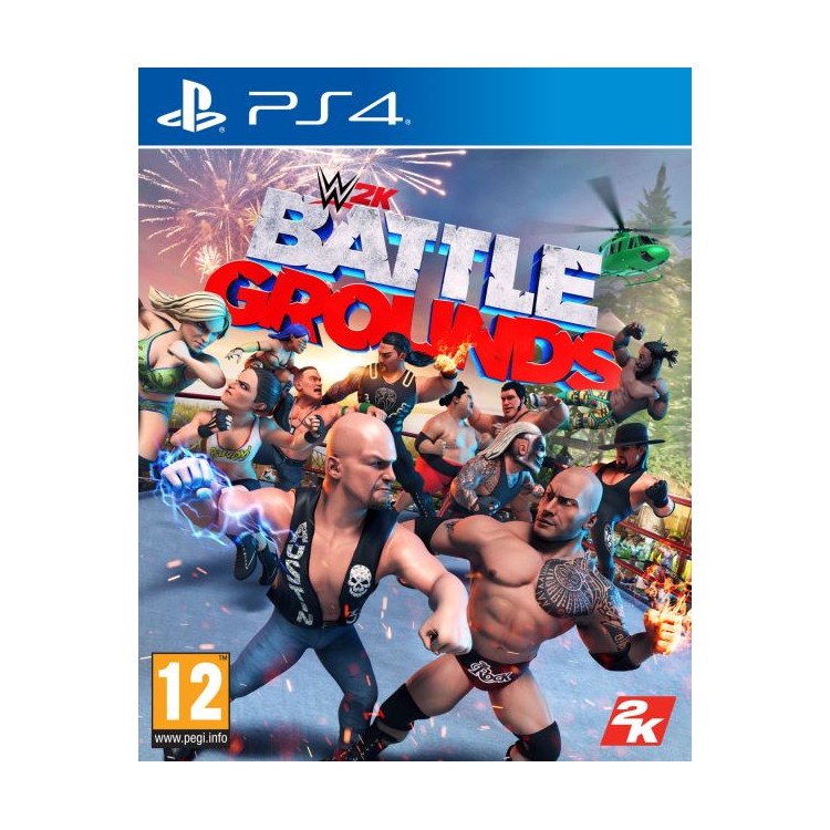 JEU PS4 BATTLEGROUND