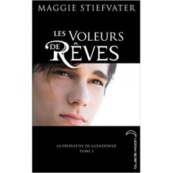 LIVRE LA PROPHETIE DE GLENDOWER TOME 2 - LES VOLEURS DE REVES